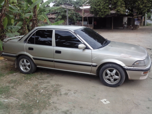 ขายโดเรม่อนพร้อมใช้