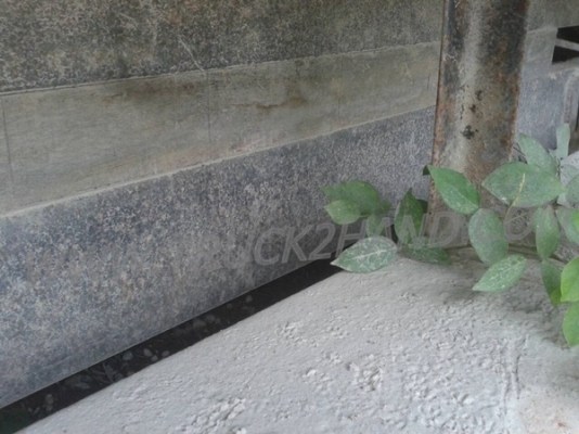 กระบะดัมพ์