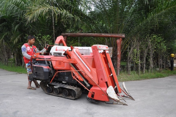 ขายรถเกี่ยว นวด MITSUBIHI MC502สวยเดิมจากญี่ปุ่น 35,000เท่านั้น