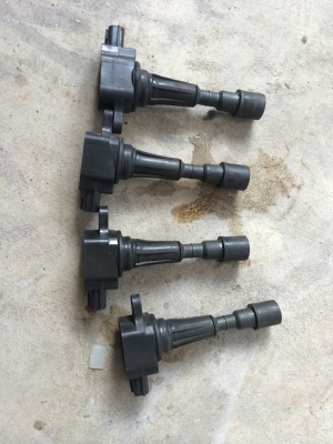 ขาย คอย ตัวละ1200 มี4 ตัวครับ