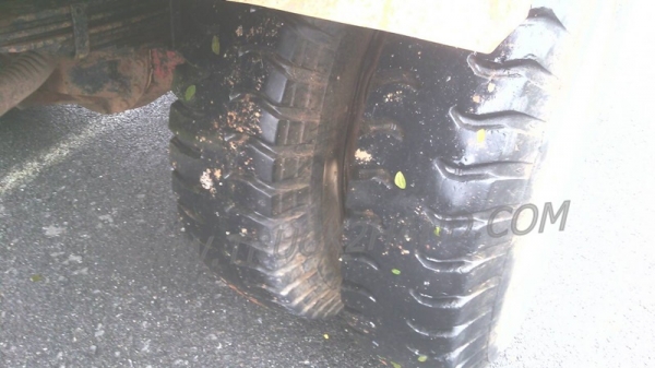 รถบรรทุกหน้ายาว   ISUZU  เครื่อง  6BD1   165 แรงม้า..สามารถดูสภาพรถและทดลองขับพร้อมต่อรองราคาได้อีกที่ศูนย์พักรถ truck2hand จังหวัดสระบุรี