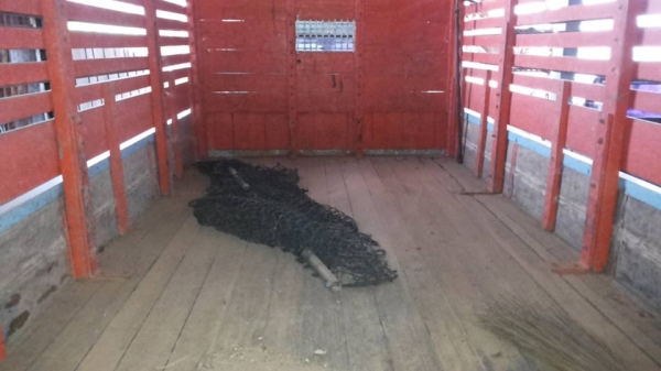 **320,000 บ.ต่อรอง**ขาย6ล้อบางๆเดิม ช่วงล่างใหญ่ ISUZU NKR 110 NKR58LU5 4BE1-110ฝาดำ เกียร์ยาว ห้างแท้ ปี34 เครื่องเดิมเกียร์เดิม 4BE1-110แรงฝาดำ เครื่่องดีแน่นดี แรง เกียร์ดีเข้าง่าย ไม่หลุด ช่วงล่าง คานหน้าเดิม5น็อต เฟืองท้าย6น็อต115 คัสซีดี เดิมๆ มีตาม