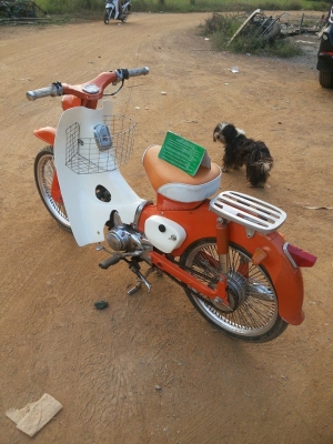 ขาย c100 มีทะเบียน เล่มเขียว