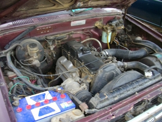 ไมตี้เอ็กซ์ตอนเดียว ไมตี้เอ็กซ์ตอนเดียว