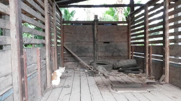 **399,000 บ.ต่อรอง**ขาย6ล้อ115 ยอดนิยม ISUZU NPR JAANPR59LL 4BD1-115HP กรองดำ เกียร์สั้น ห้างแท้ ปี34 เครื่องเดิมเกียร์เดิม 4BD1-115ฝาดำ เครื่องดี แน่นดี สตาร์ทติดง่าย เกียร์สั้นเดิม เข้าง่ายไม่หลุด ช่วงล่างใหญ่ Fหน้า-หลัง คัสซีดี เดิม มีตามดบ้าง ช่วงปลาย **399,000 บ.ต่อรอง**ขาย6ล้อ115 ยอดนิยม ISUZU NPR JAANPR59LL 4BD1-115HP กรองดำ เกียร์สั้น ห้างแท้ ปี34 เครื่องเดิมเกียร์เดิม 4BD1-115ฝาดำ เครื่องดี แน่นดี สตาร์ทติดง่าย เกียร์สั้นเดิม เข้าง่ายไม่หลุด ช่วงล่างใหญ่ Fหน้า-หลัง คัสซีดี เดิม มีตามดบ้าง ช่วงปลาย