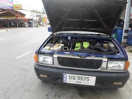 ขายมังกรทองราคาถูก ขายมังกรทองราคาถูก