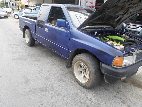 ขายมังกรทองราคาถูก ขายมังกรทองราคาถูก