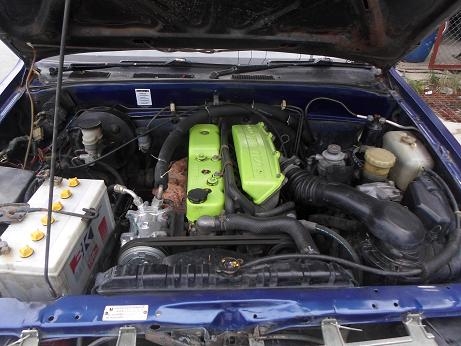 ขายมังกรทองราคาถูก ขายมังกรทองราคาถูก