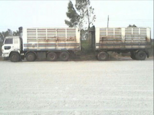 ขายรถพ่วง HINO