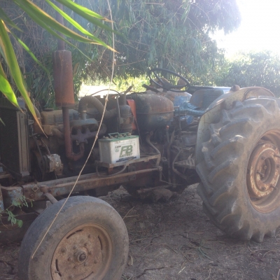 ขาย รถไถ ford รุ่น รวงข้าว 65 ใช้งานได้ ผานหน้าไม่มี ราคา 45,000 บ. 0855155980