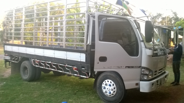 หกล้อ อิซูซุNPR ปี49 130 แรง