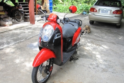 ขาย cg125 ทะเบียนเล่มส้ม ไม่โอน ราคา 16500 บาท ขาย cg125 ทะเบียนเล่มส้ม ไม่โอน ราคา 16500 บาท