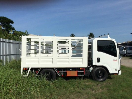 รถบรรทุก ISUZU NLR 4 ล้อเล็ก