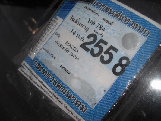 ขายม้าสด้าธันเดอร์แค็บ