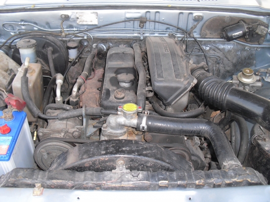 ขายม้าสด้าธันเดอร์แค็บ