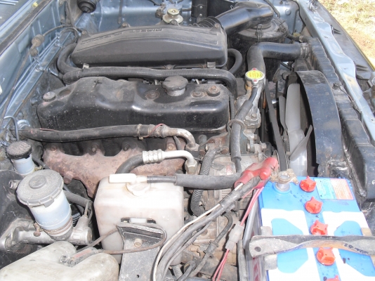 ขายม้าสด้าธันเดอร์แค็บ