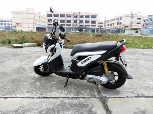 zoomer x ปี 2013