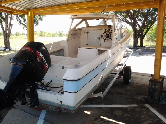 เรือYamaha 24ฟุต เรือYamaha 24ฟุต