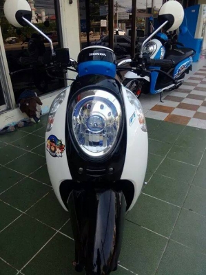 All New Honda Scoopy i ลาย Monkey DO รถสวยม๊ากๆ รุ่นใหม่ล่าสุด ขายถูก