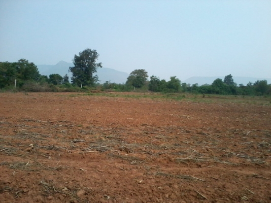 ขายที่ดิน 9-2-0 ไร่ ราคา 540,000 ต่อไร่ มีวิวภูเขารอบๆสวยงามมาก ต.ลาดบัวขาว อ.สีคิ้ว