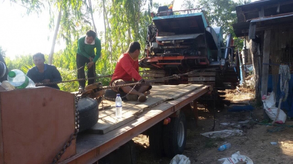 ขายด่วน ((รถเกี่ยวข้าว ไทยเจริญการช่าง รองกระสอบ