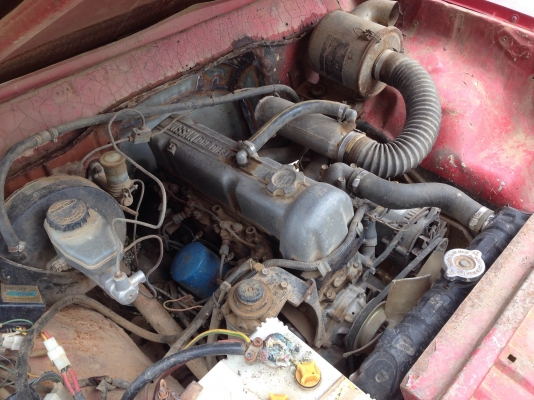 ขาย DATSUN ช้างเหยียบ สีแดง เครื่องดีเซล ทะเบียนตรง