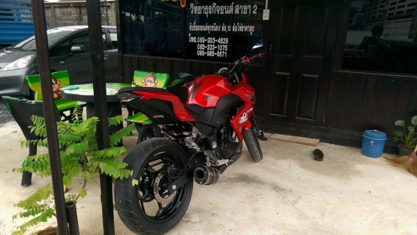 Z 250 สีแดงของแต่งเพียบ Z 250 สีแดงของแต่งเพียบ