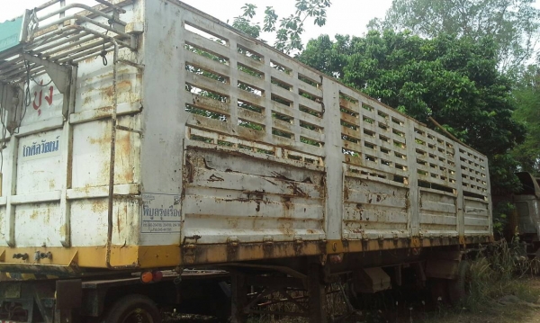 ขายหางพ่วงไม่ดั้ม รุ่งเจริญกับยี้ฮ้อ PANUS มี 8 หางทะเบียนขาด 1 ปียาว10.5 เมตรยางปานกลางคัสชีดีทุกคัน