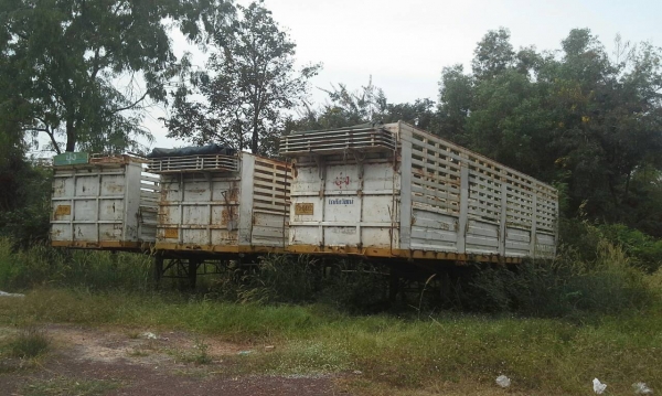 ขายหางพ่วงไม่ดั้ม รุ่งเจริญกับยี้ฮ้อ PANUS มี 8 หางทะเบียนขาด 1 ปียาว10.5 เมตรยางปานกลางคัสชีดีทุกคัน