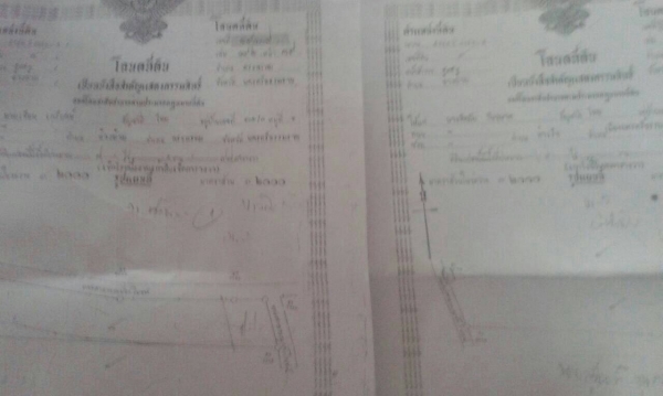 ขายสวนปาล์ม 16ไร่ใกล้ตัวเมืองนครศรี.ติดต่อ080-1405528