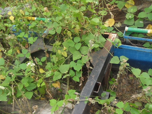 ขายด่วน โครงรถอีแต๋นใหญ่