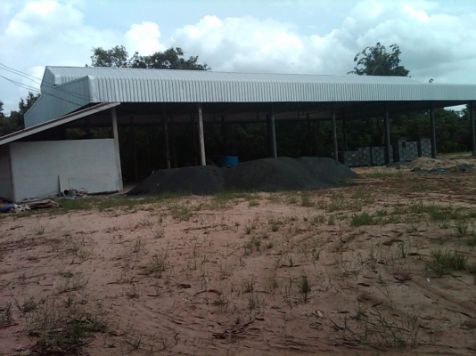 ขายที่ดิน พร้อมโรงงาน และบ้าน 1 หลัง 4 ไร่ จ.อุบล