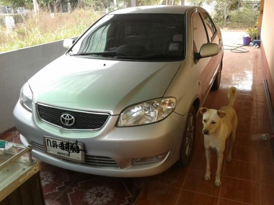 VIOS 1.5E AUTO 2004 ยังไม่กินแก้ส รถหญิงใช้น้อยมาก