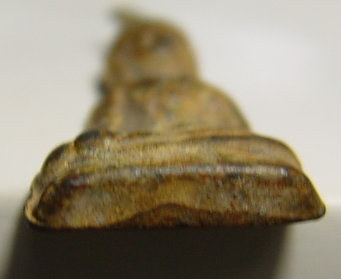 ให้เช่าพระท่ากระดาน