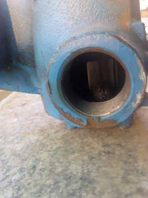 ปั๊มไวกิ้ง ของ USA เป็นของใหม่เก่าเก็บ ปั๊มของเหลวที่มีความหนืดน้อยจนถึงมากๆ