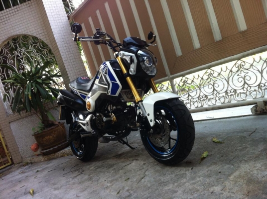 ขออนุญาติขาย HONDA MSX125 พร้อมชุดแต่ง DUCATI รถปลายปี56 โอนให้ครับ