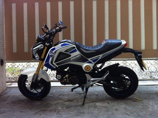 ขออนุญาติขาย HONDA MSX125 พร้อมชุดแต่ง DUCATI รถปลายปี56 โอนให้ครับ