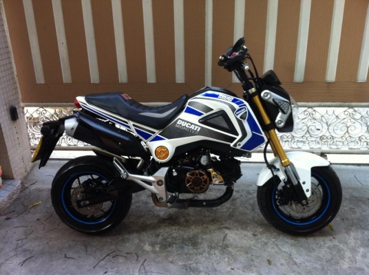 ขออนุญาติขาย HONDA MSX125 พร้อมชุดแต่ง DUCATI รถปลายปี56 โอนให้ครับ