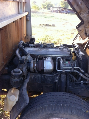 ขาย 6 ล้อ อีซูซุ NKR 130 แรง ปี 2551 ลดเหลือ 630,000 บาท