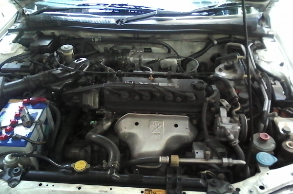 HONDA ACCORD VTEC ไฟท้ายก้อนเดียว ปี 1995 HONDA ACCORD VTEC ไฟท้ายก้อนเดียว ปี 1995