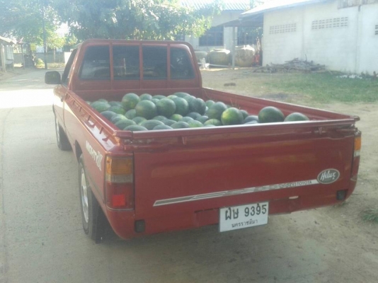 ขายกระบะ โตโยต้า ไมตี้เอ็กซ์ ปี39ตอนเดียว เครื่องดี แชชซีสวย สภาพพร้อมใช้งาน ยางดี ขายกระบะ โตโยต้า ไมตี้เอ็กซ์ ปี39ตอนเดียว เครื่องดี แชชซีสวย สภาพพร้อมใช้งาน ยางดี