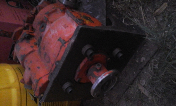 ขายแม่ปั้ม อิบาล่าpv 23 คู่ละ 12000ลงรูปแล้ว