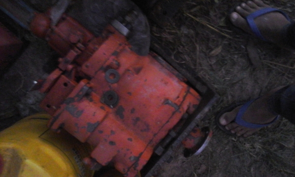 ขายแม่ปั้ม อิบาล่าpv 23 คู่ละ 12000ลงรูปแล้ว