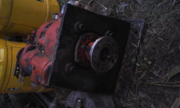 ขายแม่ปั้ม อิบาล่าpv 23 คู่ละ 12000ลงรูปแล้ว