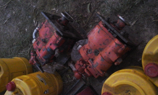 ขายแม่ปั้ม อิบาล่าpv 23 คู่ละ 12000ลงรูปแล้ว