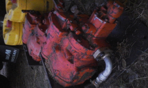 ขายแม่ปั้ม อิบาล่าpv 23 คู่ละ 12000ลงรูปแล้ว