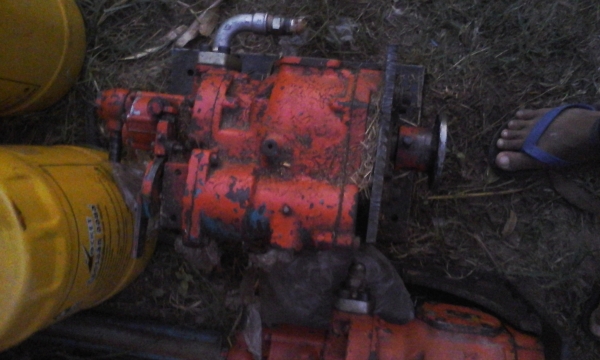 ขายแม่ปั้ม อิบาล่าpv 23 คู่ละ 12000ลงรูปแล้ว