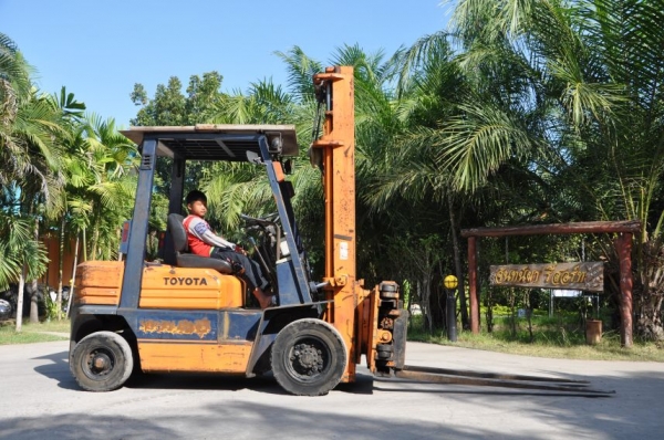 ขายFORKLIFT TOYOTA 2.3ตันครึ่ง(เสาสูง4เมตรงายืด หนีบ หมุน360องศา)สภาพสวยเดิมจากญี่ปุ่นยังไม่เคยใช้ในไทย175,000เท่านั้น!!
