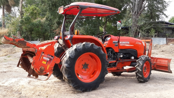 ขายผานตราช้าง สวยใบเต็ม 6x 24 25500-