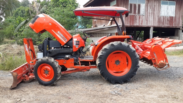 ขายผานตราช้าง สวยใบเต็ม 6x 24 25500-